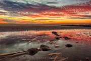 Peter Shinyeda Photography (3)